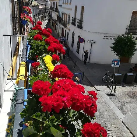 Vft Califal Cordoba